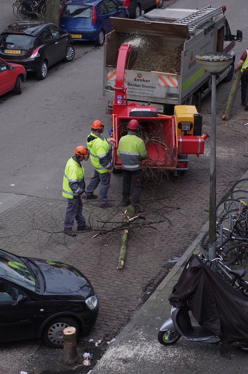 ../image/imgp8668.jpg