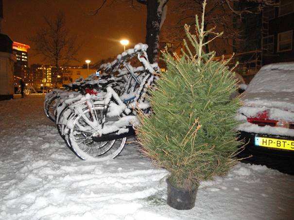 2010 01 06 dc01097 Orteliusstraat - de kerstboom buiten, besneeuwd fietsenrek