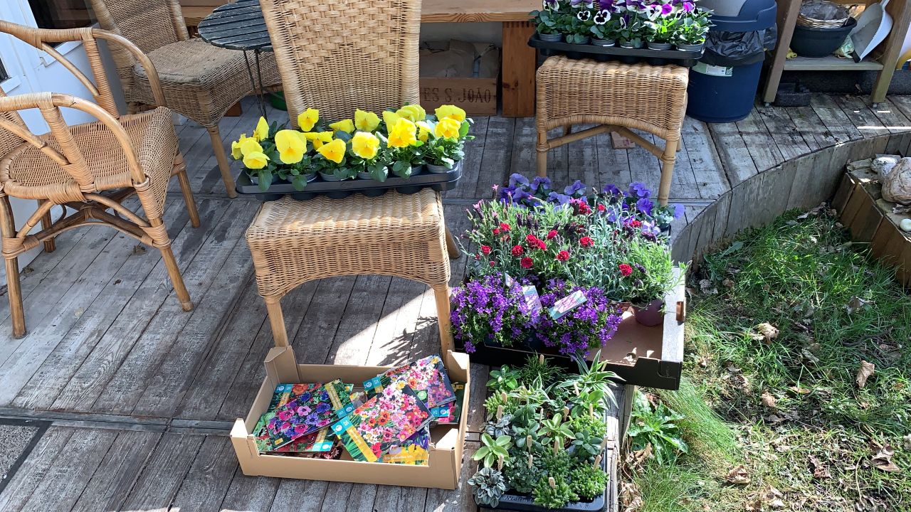 ../image/20220325135038_co359-hs-de_ingekochte_bloemen_en_bollen.jpg