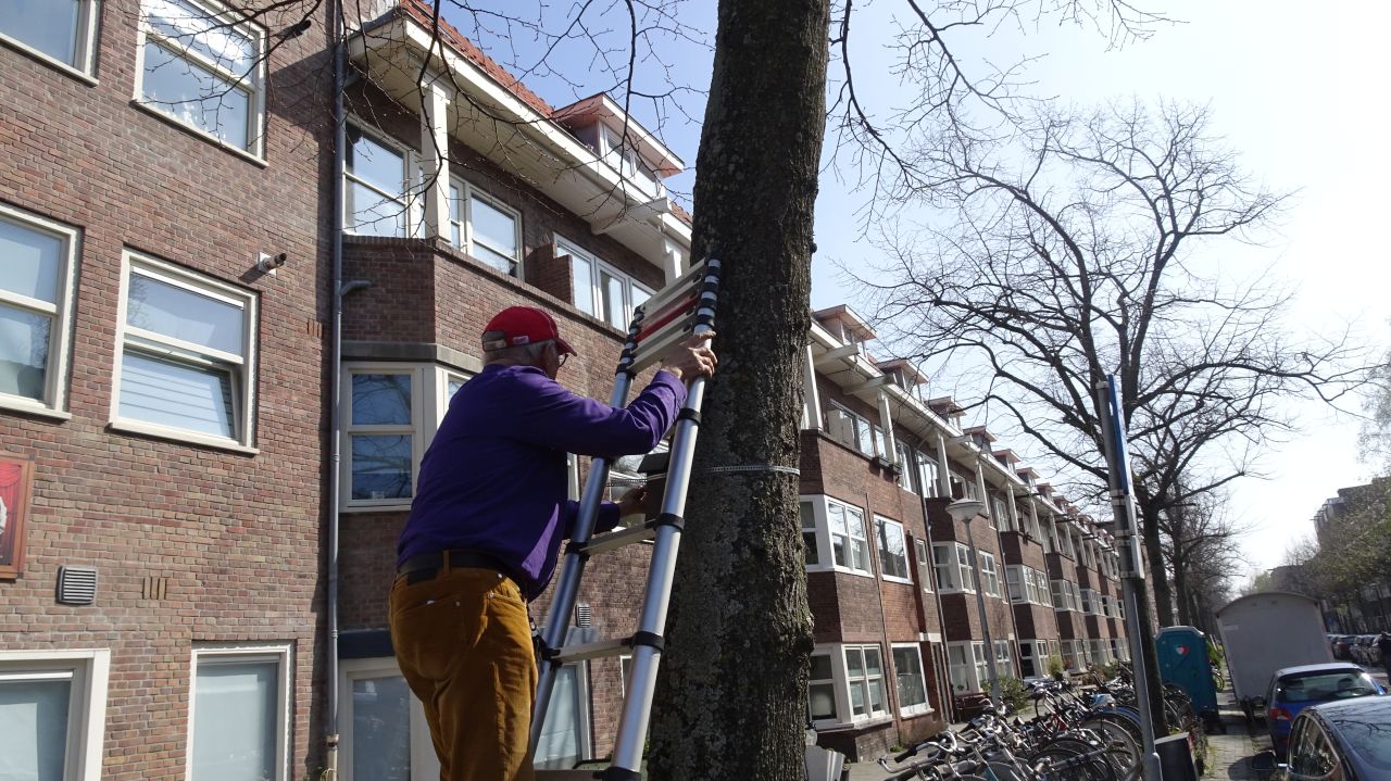 ../image/20220326134318_pg05977_orteliusstraat_370-een_vogelnestje_in_de_boom.jpg