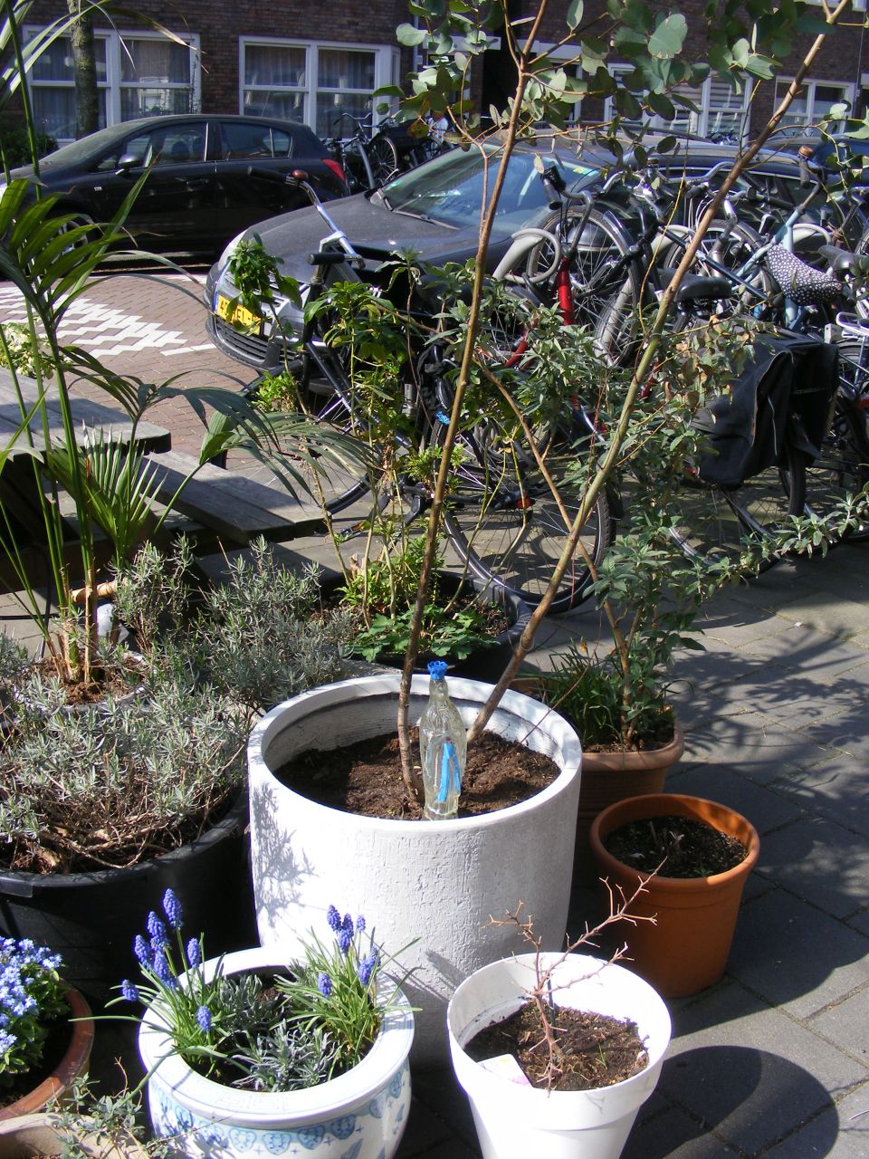 ../image/20220326143244_pgtthijsen2478.jpg