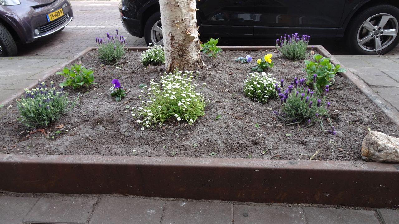 ../image/20220330151024_2022_03_30_pgdsc06000_orteliusstraat_361-de_nieuwe_tuin.jpg