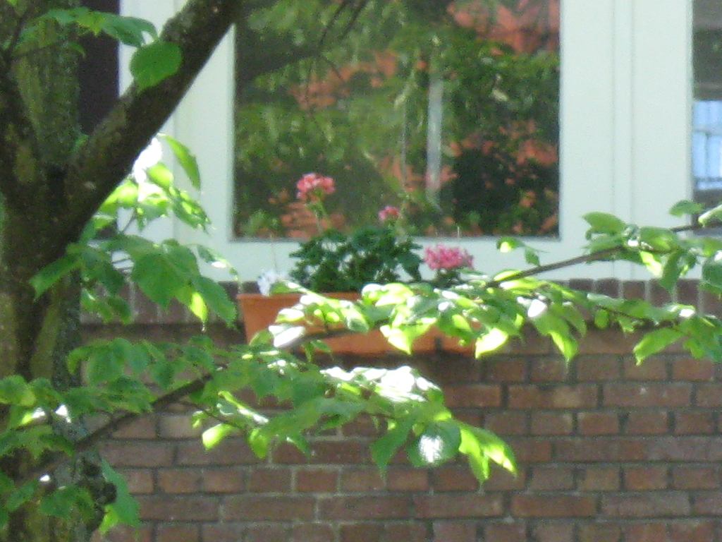 ../image/img_0270.jpg