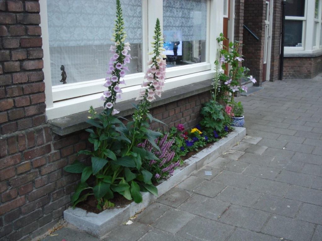 ../image/dc05004.jpg